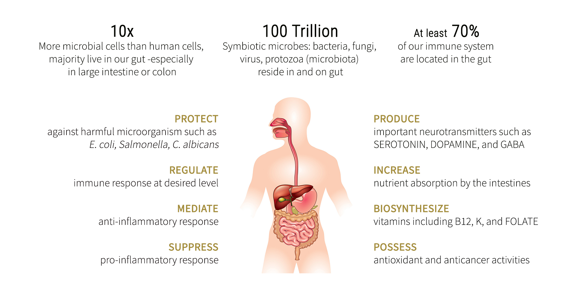 Microbiome_and_Gut_Health_Image_GOLDTEXT