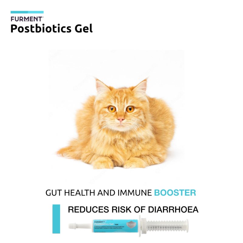 FURMENT POSTBIOTICS GEL - BUNDLE OF 3 - Image 3