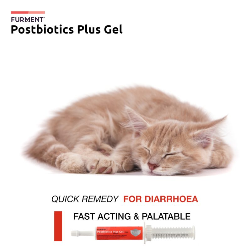 FURMENT POSTBIOTICS PLUS GEL - BUNDLE OF 3 - Image 2