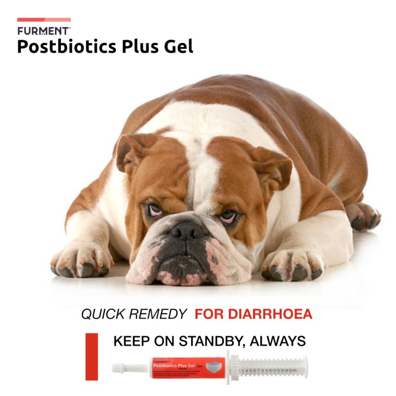 FURMENT POSTBIOTICS PLUS GEL - BUNDLE OF 3 - Image 3